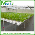 hydroponics plant pvc pipe low cost agricultural greenhouse